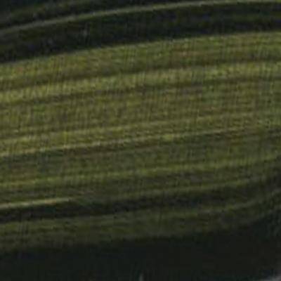 Golden Fluid Acrylic Paints 30ml - Image 74