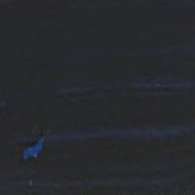 Golden Fluid Acrylic Paints 30ml - Image 99