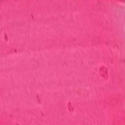 Golden High Flow Acrylic Paints 473ml - Image 7